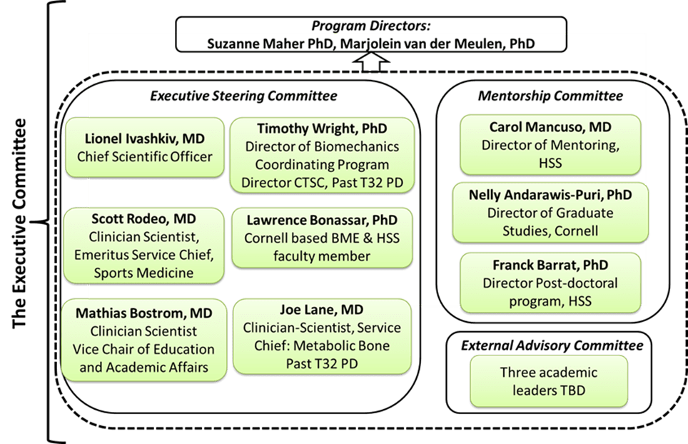 Diagram of training structure and directors